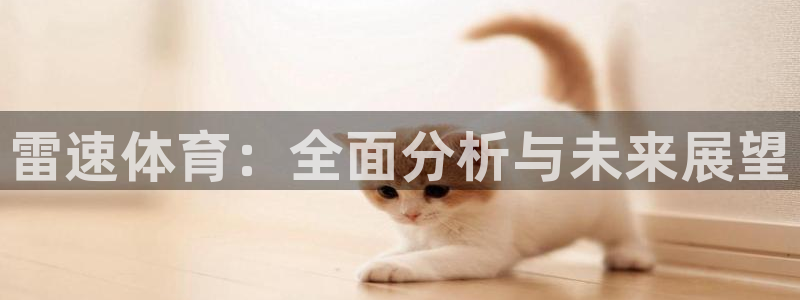 178体育app下载安装