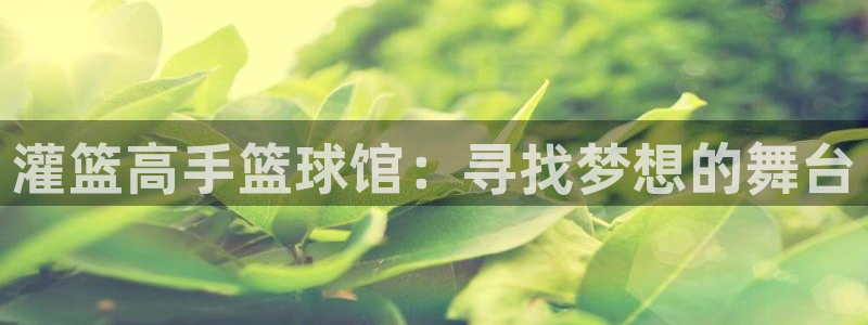 178直播体育在线直播