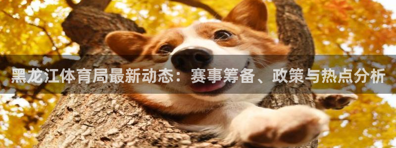 178体育直播下载