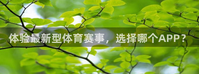 178体育直播篮球赛事直播