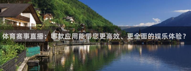 直播体育178：体育赛事直播：哪款应用能